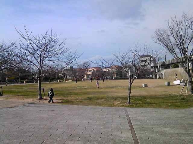 住吉神社へ向かう途中の公園で凧揚げする家族(正月の風景)