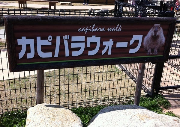 赤穂海浜公園 動物ふれあい村 カピバラウォーク