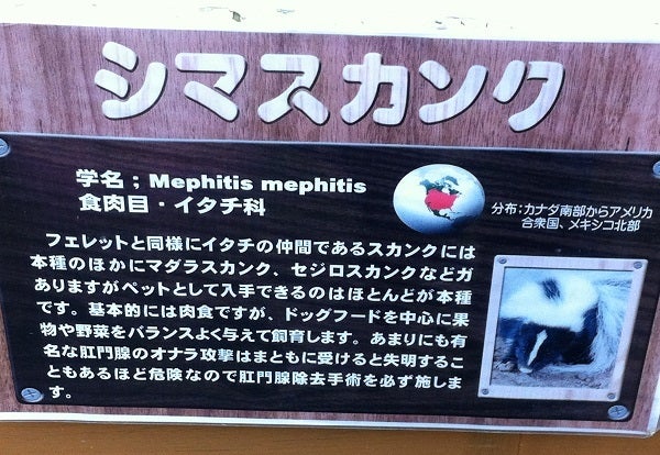 赤穂海浜公園 動物ふれあい村 スカンクの注意書き