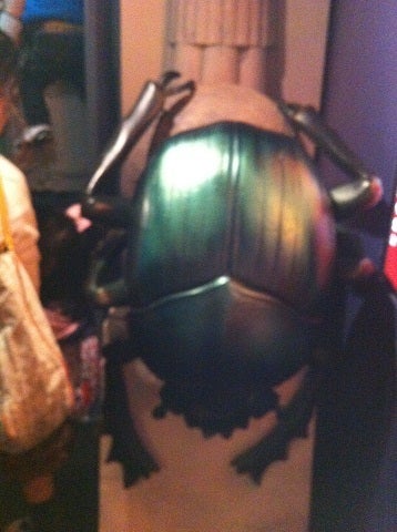 カミカミ大王の適当ブログ♪-スカラベ