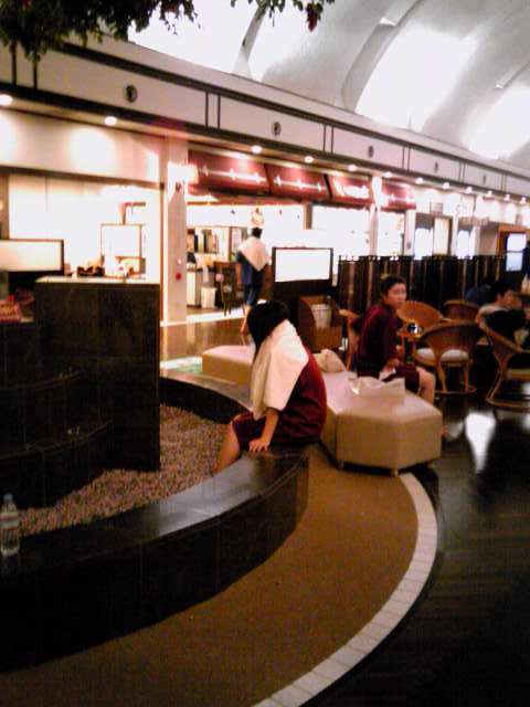 カミカミ大王の適当ブログ♪-あかねの湯中央