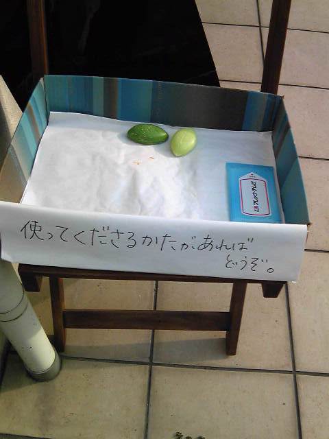 カミカミ大王の適当ブログ♪-すこやかカイロプラクティック院タダ石鹸