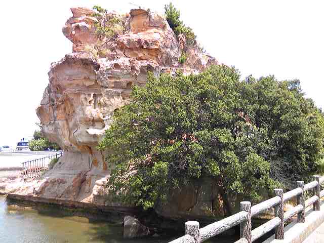 岩屋港の目の前に浮かぶ絵島