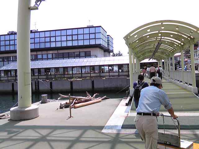 淡路島・岩屋港スロープ(2010年)