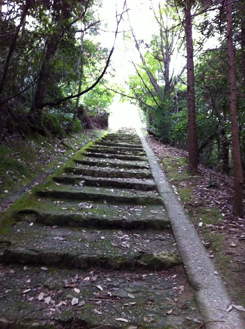 鹿嶋神社の裏手の山道