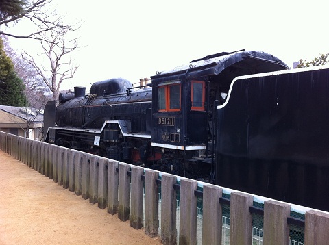王子動物園 蒸気機関車D51