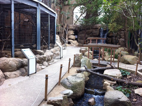 王子動物園 リスと小鳥の森 内部