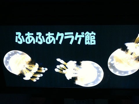 当時のクラゲ展示エリアの入口