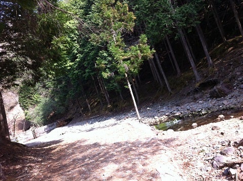 金香瀬旧坑道露頭群の道。完全に山 (3)