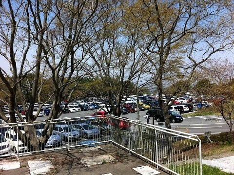 六甲山牧場の広々とした牧場風景