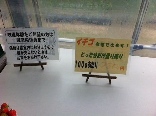 イチゴ狩りの案内看板。摘み取ったイチゴを量り売りする旨が書かれている