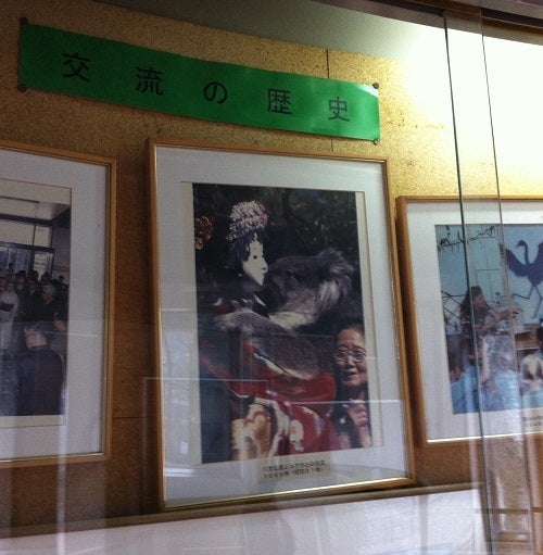コアラと淡路人形浄瑠璃をあわせて紹介している館内の展示パネル