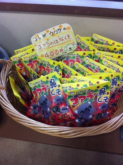 おみやげ売り場に並ぶ『コアラのはなくそ』というお菓子
