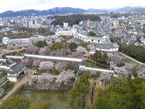 天空の白鷺の下階から見た姫路の街並み